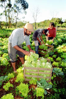 Agricultura Familiar
